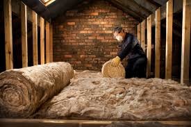 Best Insulation Removal  in Corcoran, MN